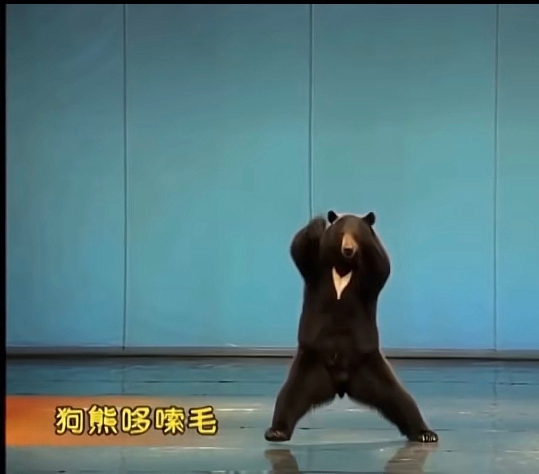 这两天刷到一堆ai“狗熊哆嗦毛”（没错，都不需要人去跳了）本来笑的很开心…突然想到！我们扛着内存涨价、手机涨价堆出来的算力，就被用来搞这些抽象[捂嘴哭] ​