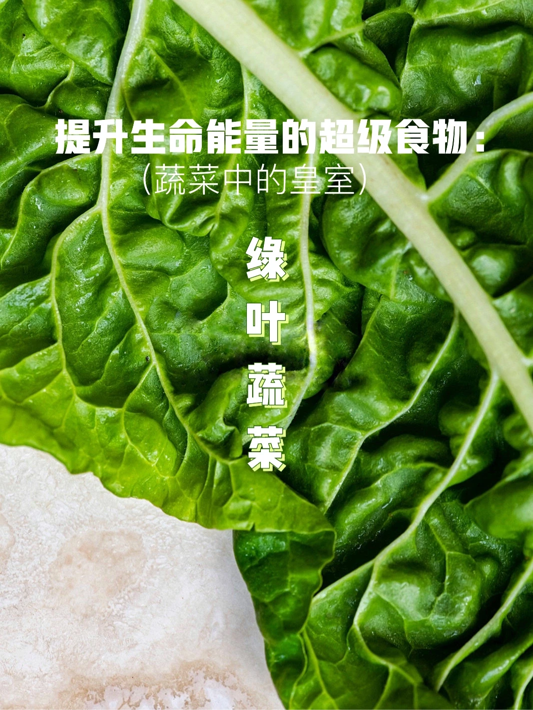 宇宙疗愈食物之：绿叶蔬菜