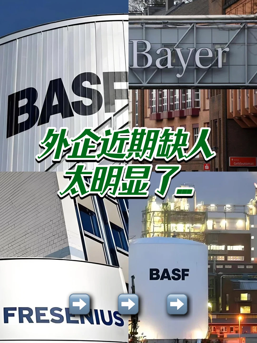 外企近期缺人太明显了...