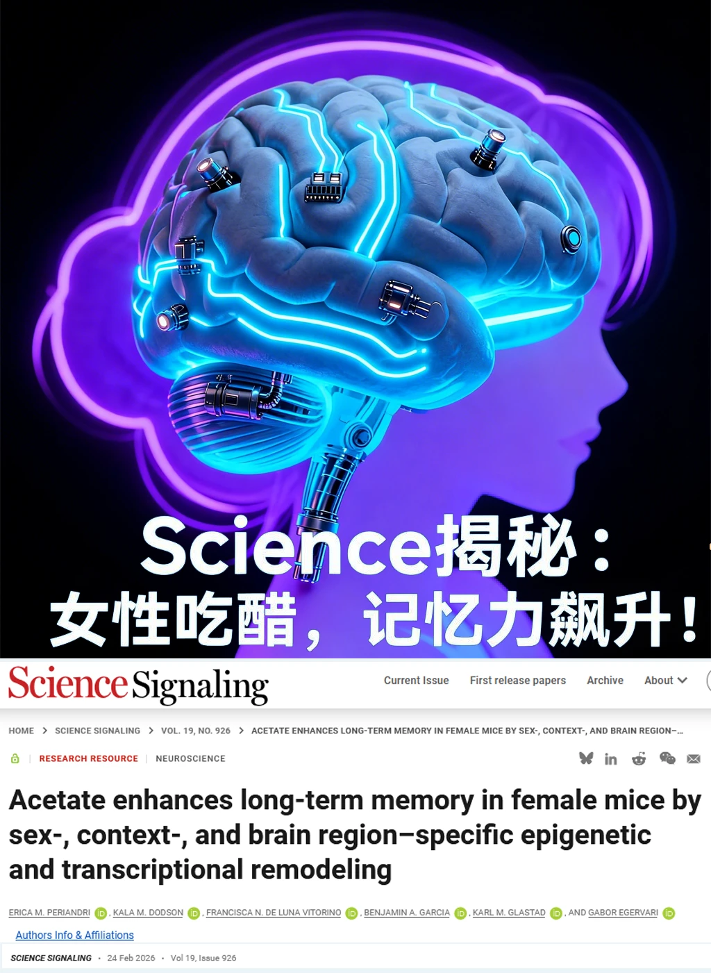 Science重磅-女性吃醋记忆力飙升防痴呆