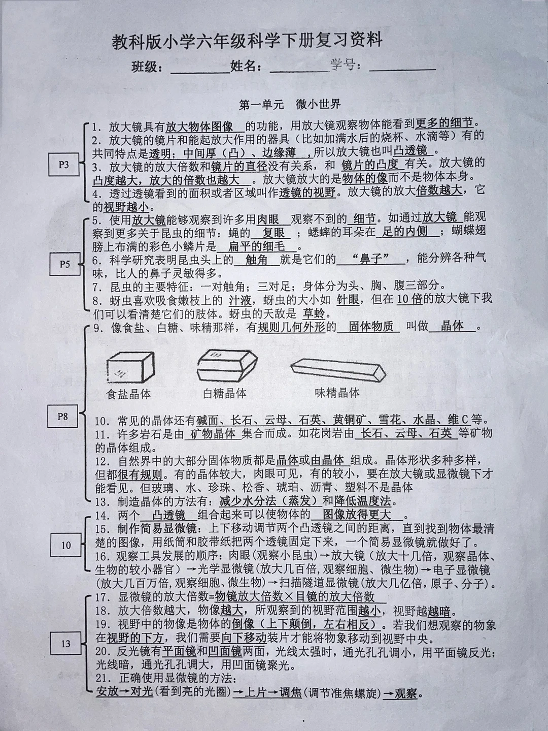 教科版小学六年级下册，科学期末复习资料‼️