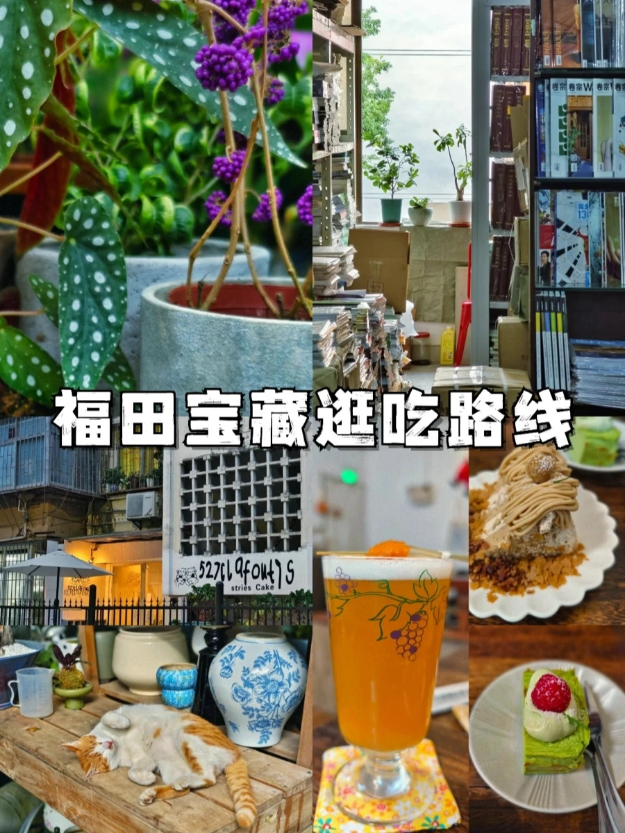 福田半日逛吃宝藏路线🍃