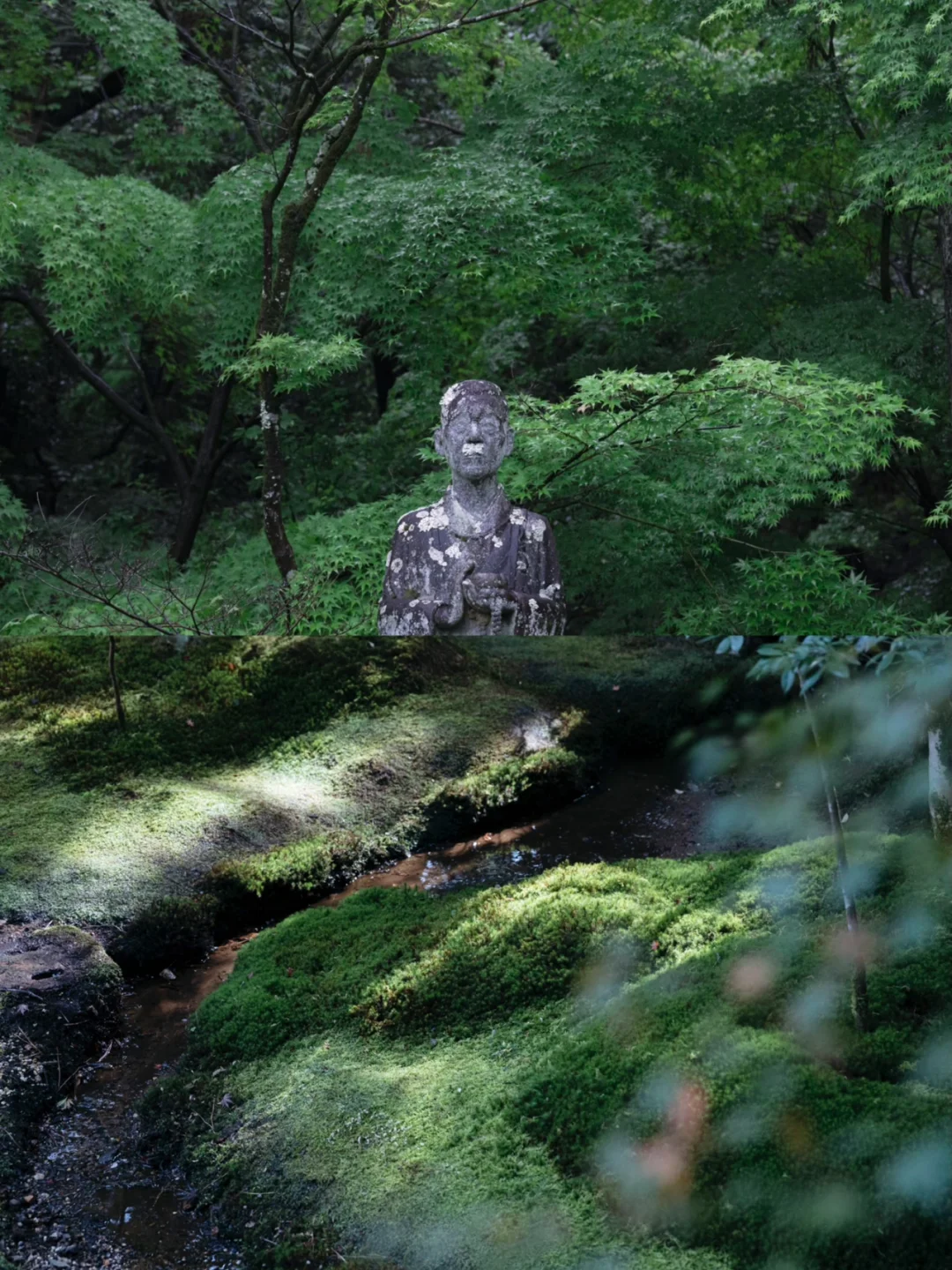 日本京都 | 谁童年的休息，休息一下～一休寺