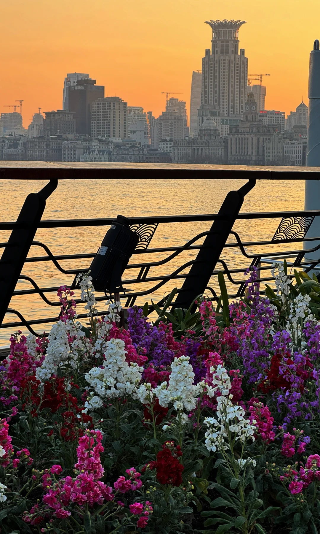 0122北外滩实拍，又给上海浪漫到了（附机位）