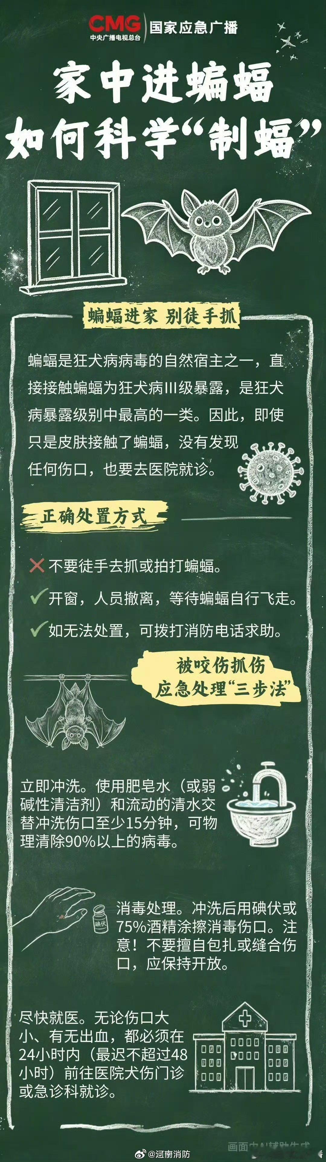 #女子散步被蝙蝠撞脸连夜打狂犬疫苗#豫豫提醒，蝙蝠是狂犬病病毒的自然宿主之一，一旦接触就是狂犬病Ⅲ级暴露（狂犬病暴露级别中最高的一类），即便没有被咬、抓伤，只要接触了就应按最高风险等级来处理。那么，我们遇到蝙蝠该如何科学处置呢？遇到此类情况请保持冷静，打开门窗让其自行飞离或及时拨打 ​