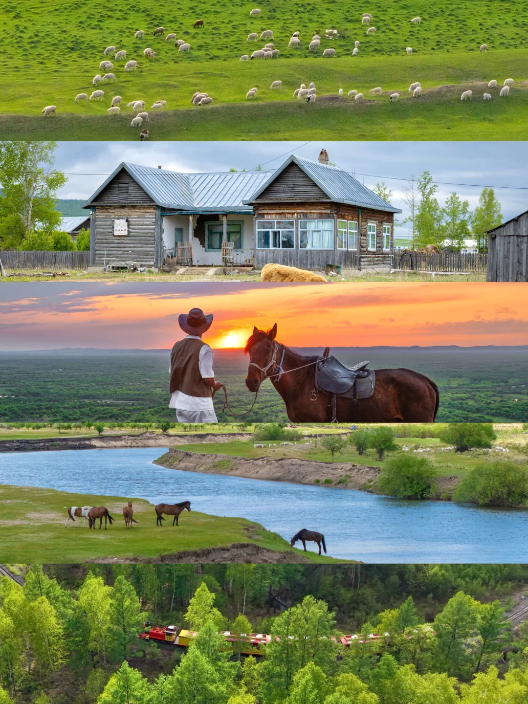 “呼伦贝尔，满足我对夏天的所有幻想～🍃”