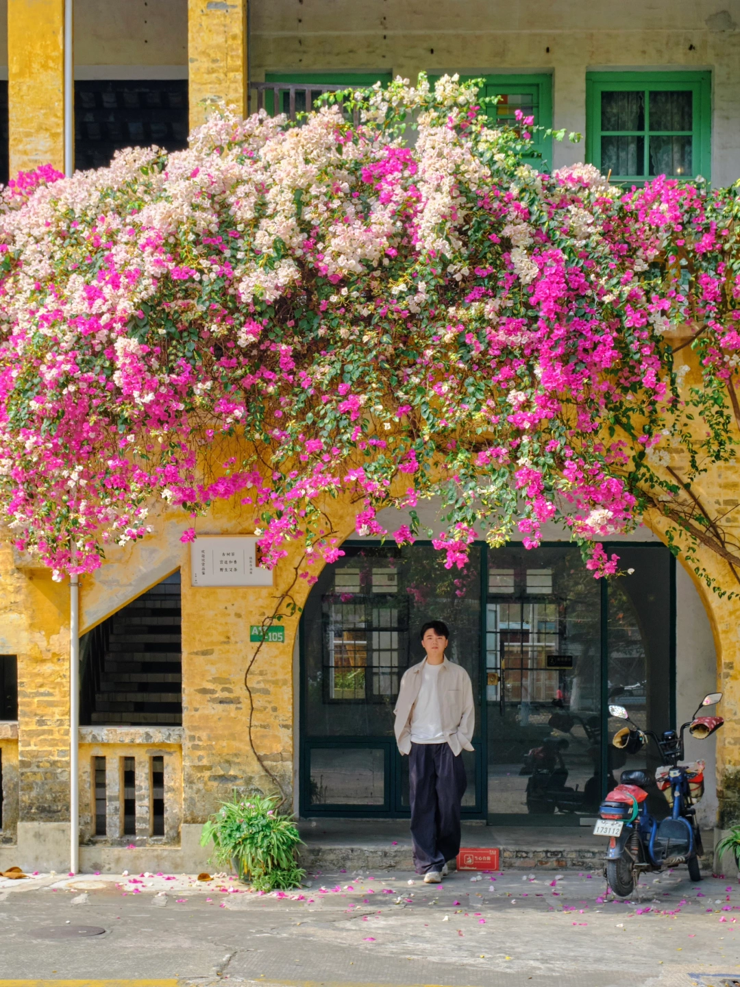 广州的春天🌸🌸总爱把调色盘泼翻在旧时光里