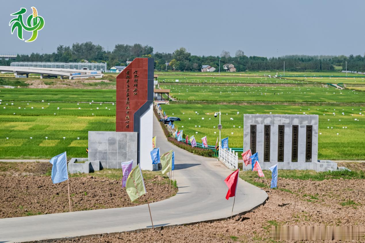 【安徽合肥：种子“出圈”记】9月10日，安徽合肥滨湖国际会展中心，2026第十八届中国国际种业博览会暨第二十三届全国种子信息交流与产品交易会（全国种子双交会）拉开帷幕。

走进六大室内展区，新品种、AI育种大模型、国产基因芯片、种业加工检测设备被集中摆上展台；展馆之外，125亩田间地展同步铺开 ​