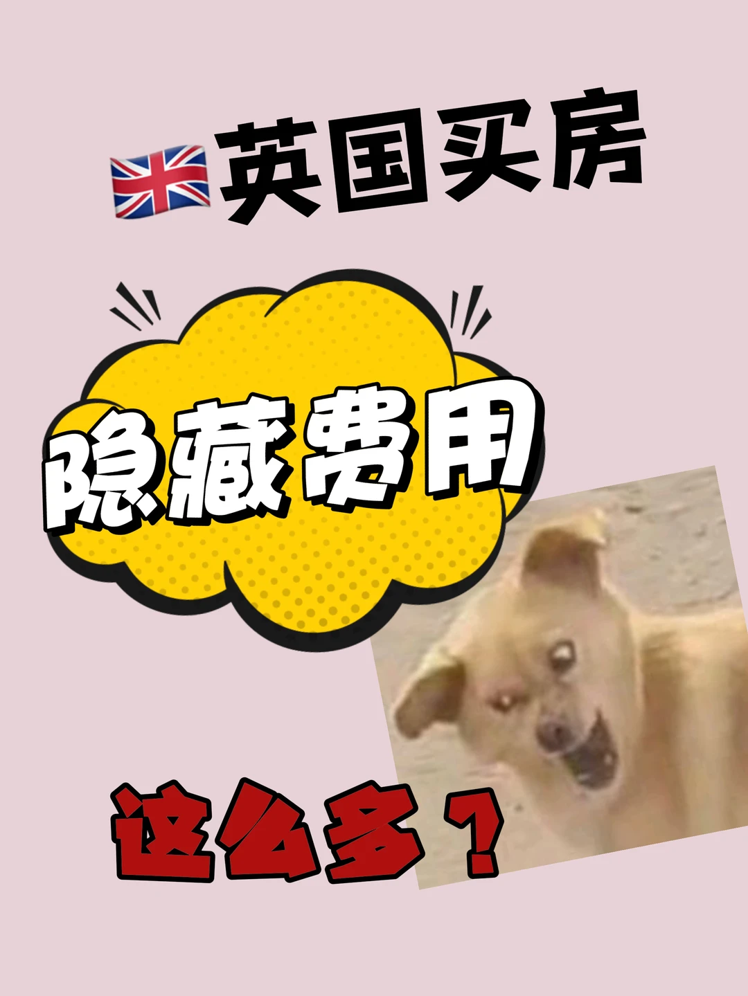 英国买房，也没人和我说除房款外还有这么多