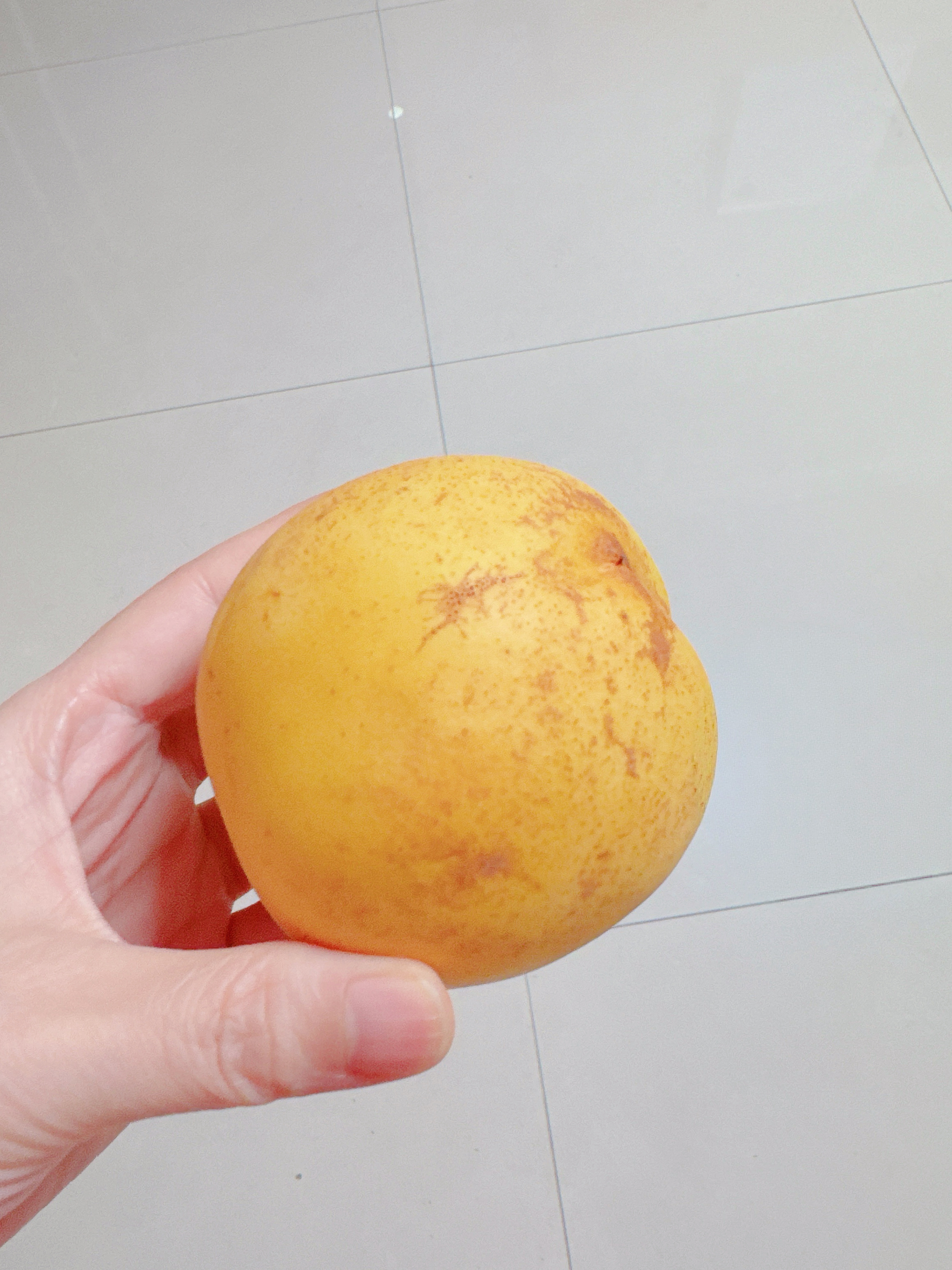 最近买的一些水果分享1.澳洲2ph澳橘为啥买澳洲的？因为现在国内很多橘子不对劲比如爱媛果冻橙，就没到正常成熟时间我害怕买到用脱酸剂的（这玩意很毒）所以买点澳洲的，但是这个品种也是尾季了哦是酸甜口哦、不是纯甜2.克伦生葡萄太脆了，太新鲜了，太牛了！！建议买，纯甜、脆脆的，好吃3.晚油桃属于晚熟品种、但是不好看啊，目前下架了；基本就那么点，还是口感还可以的。我特别推荐葡萄，真的好吃啊，特别新鲜