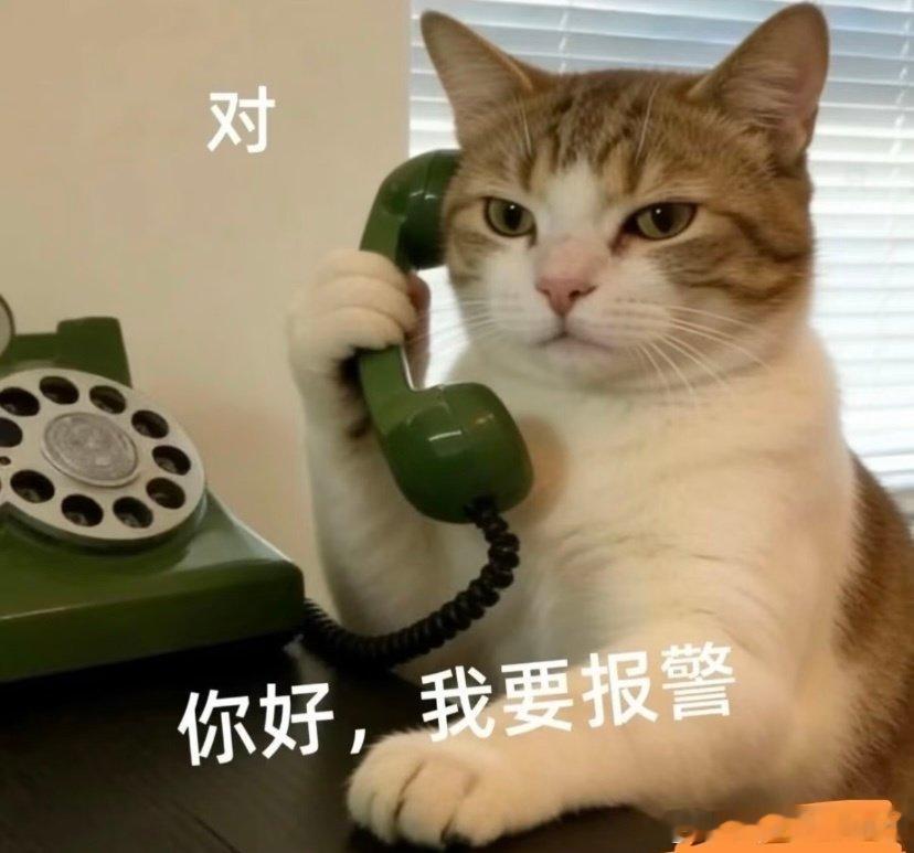喊派出所来开枪打了  

睡个觉的功夫、六百块💰的梳子被磨了牙、

第二把了 第一把在健身房被偷了 

准备再买第三把 这把防天防地防小狗 锁起🔒、 ​​​