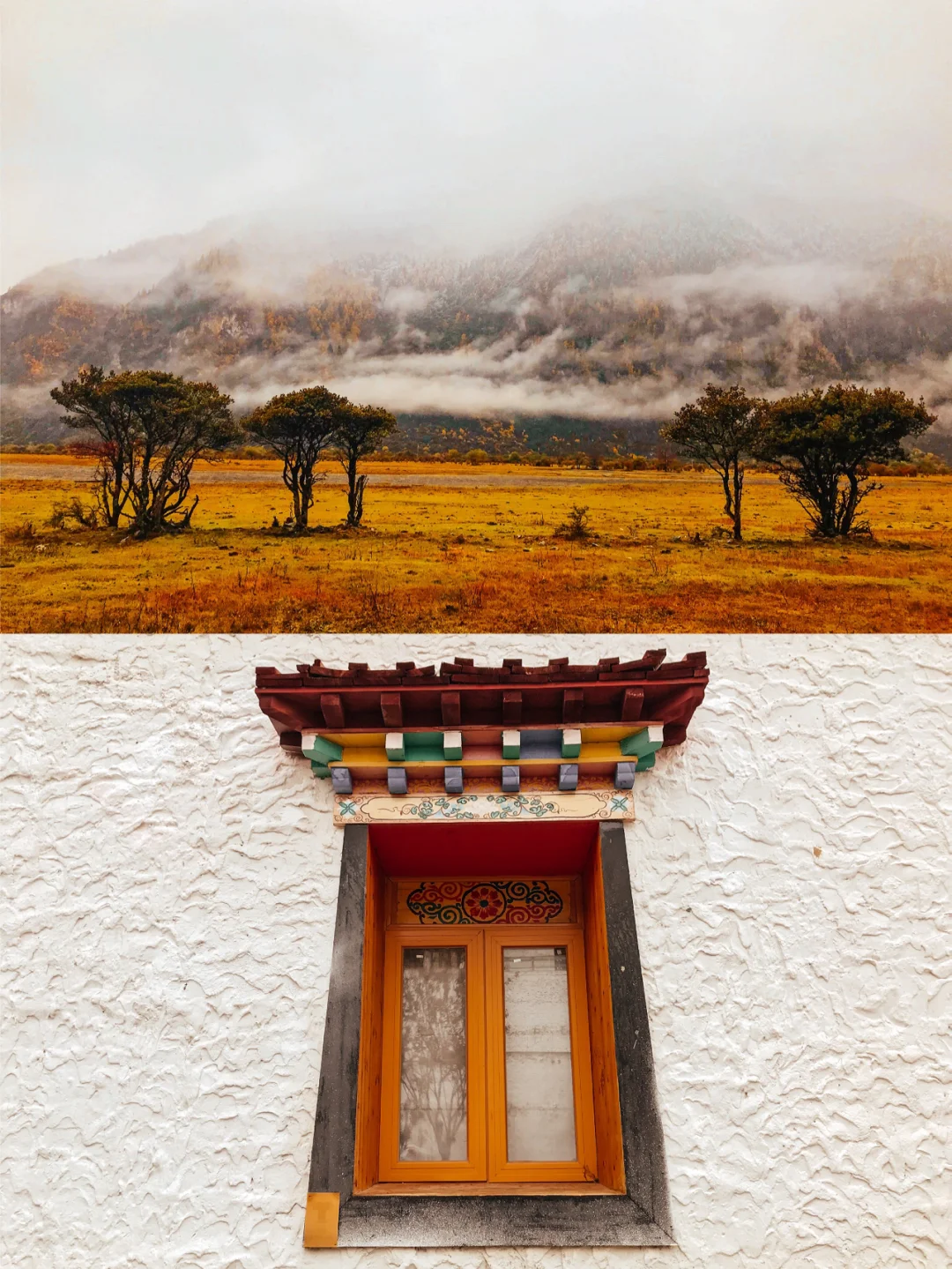 秋天的西藏｜原来可以美到岂有此理！！！！