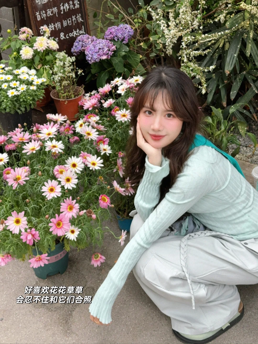 plog | 春天就这样拥抱了我