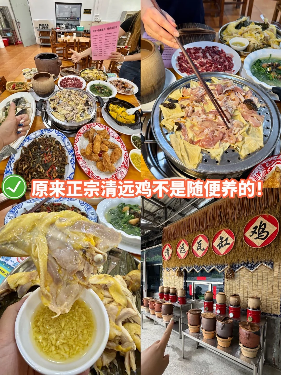 出游怕踩雷？清远英德吃鸡选这家准没错‼️