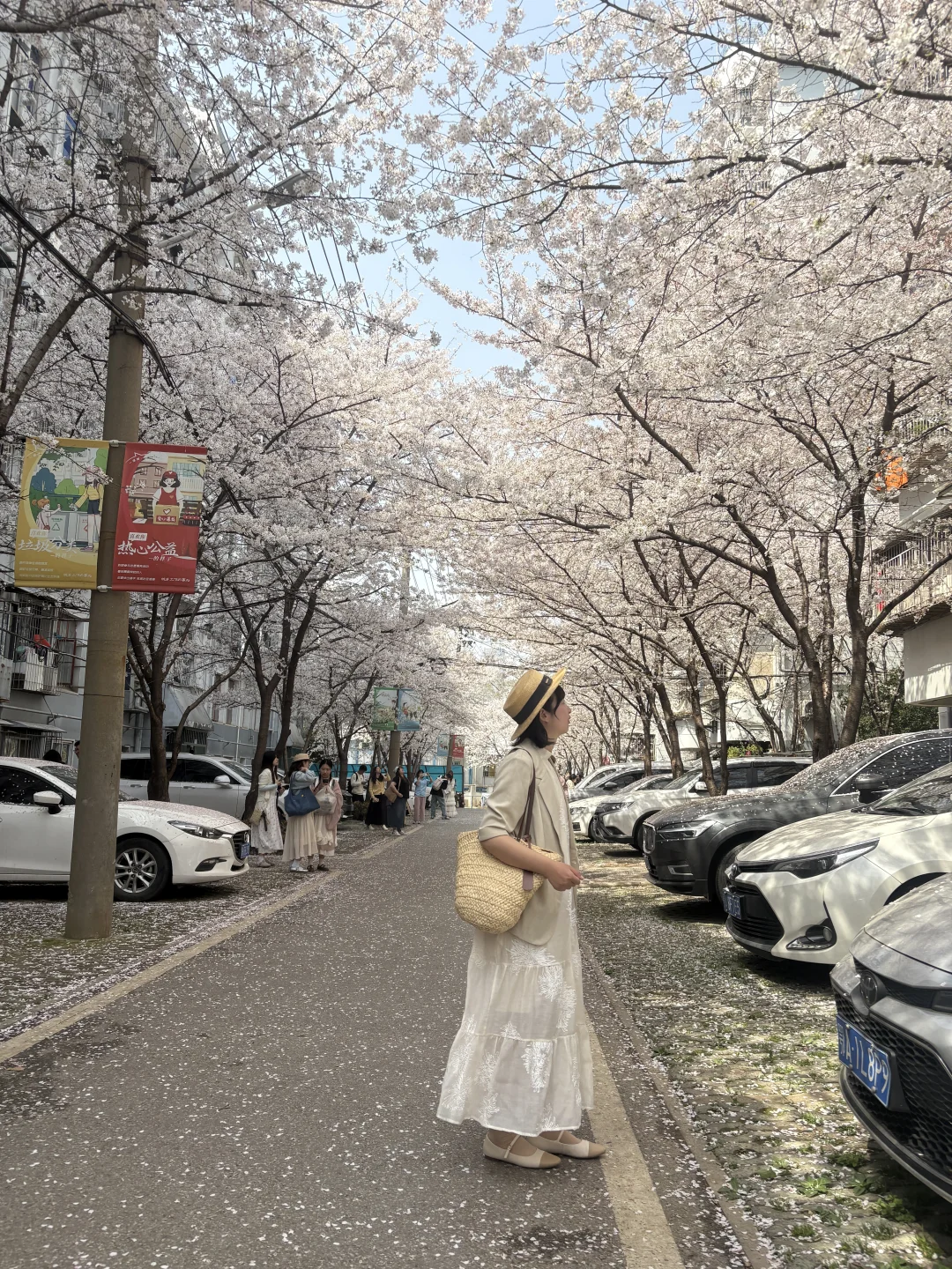 后来我逢人便说，三月武汉樱花有多美❗️