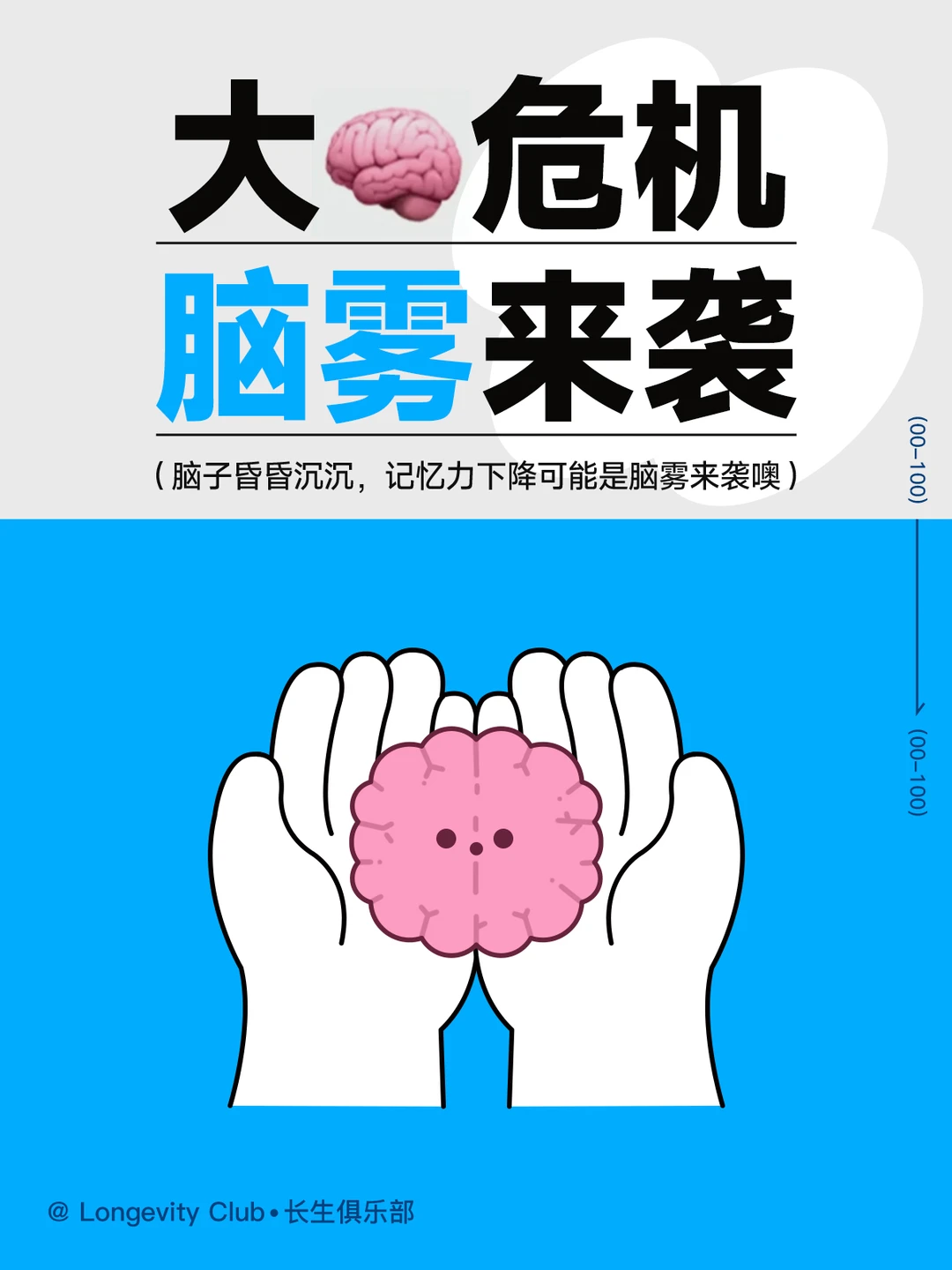 大🧠危机，脑雾来袭