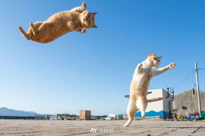 转走，接下来你能跳过所有的坎坷和不顺 🙏 ​​​