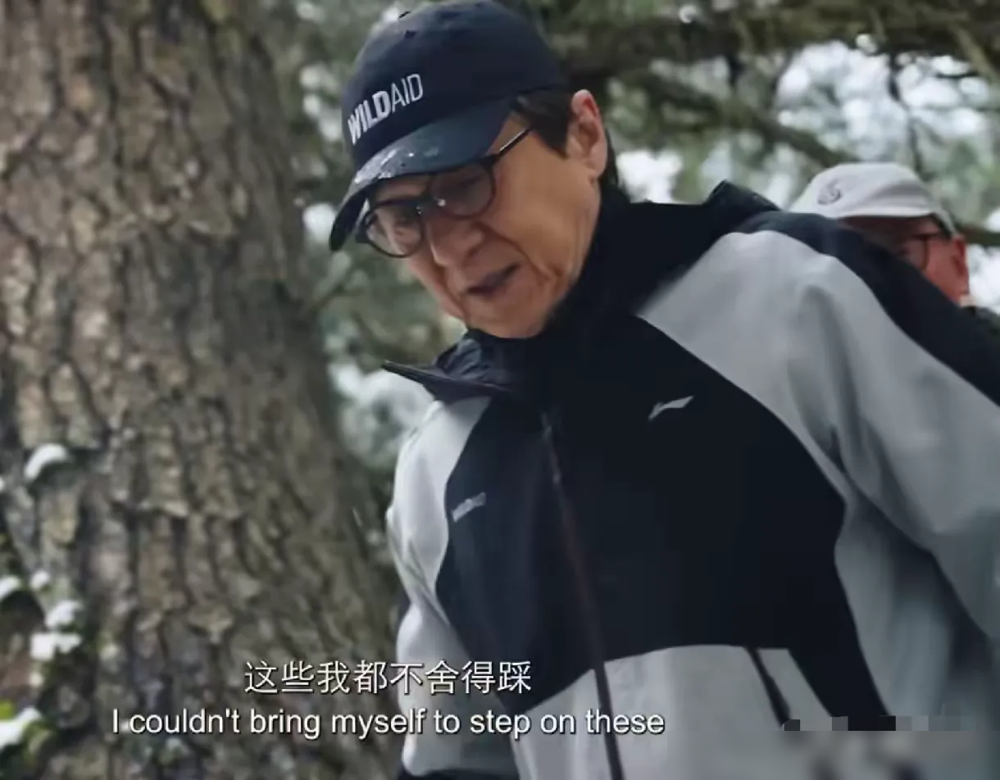 成龙钻进原始森林，跟着巡护员爬山蹚水，拍大熊猫国家公园的公益片。67岁了，还玩真的。
他跟野生救援合作快30年，是这组织第一个名人公益大使。当年那句没有买卖，就没有杀害，就是他帮着喊响的，传遍全球。
2017年拍穿山甲广告，他直接上功夫，一招制敌的梗玩得飞起，就为让人别买鳞片。2021年又整了句