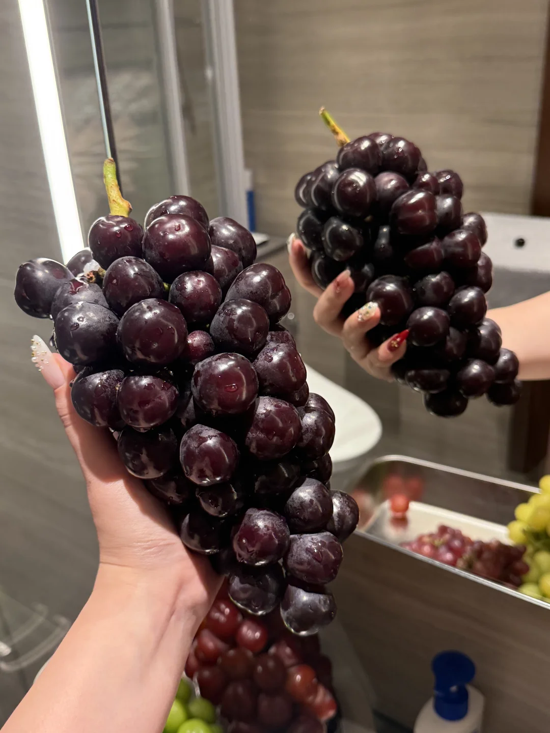 大馋信女愿一年都有葡萄吃🍇