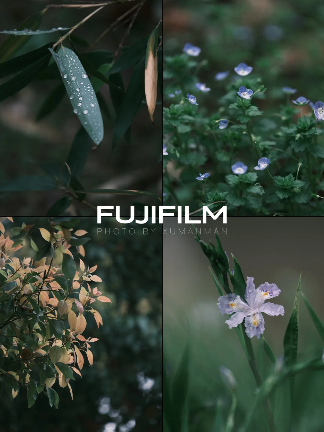 FUJIFILM📷｜“我用10分钟抓住了春天”🌿
