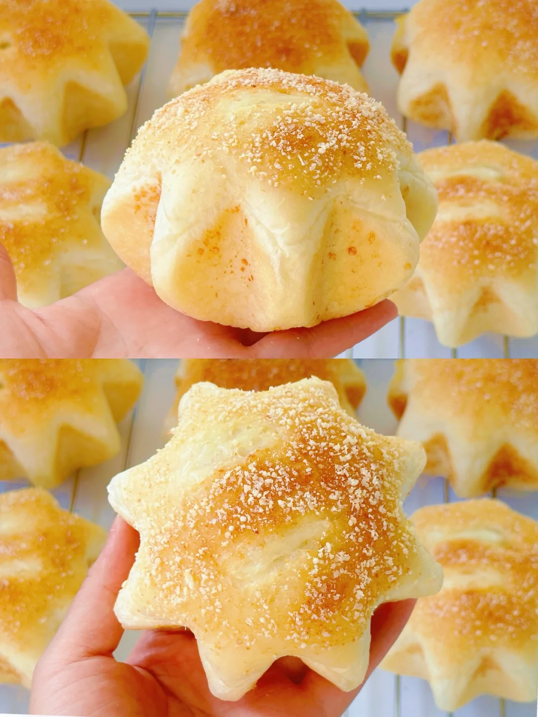 冷藏水合法！芝士香肠星星包！咸香松软～