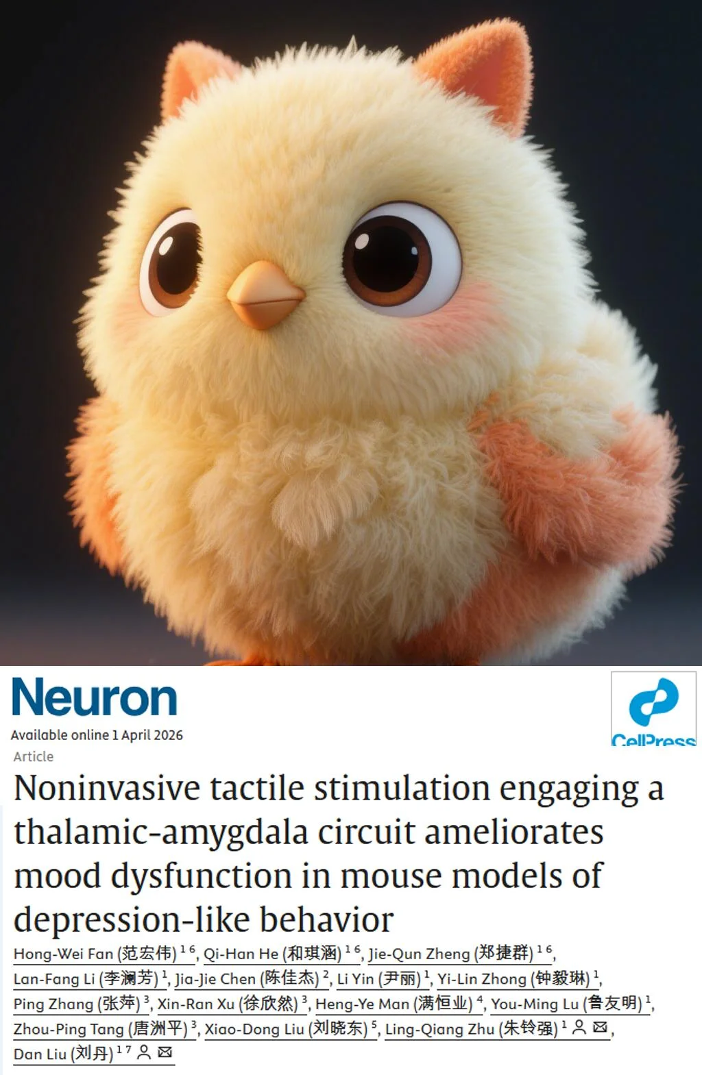 Neuron实锤-撸猫抱毛绒玩具能缓解压力抑郁