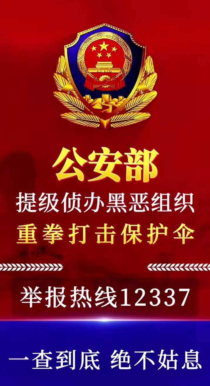 全国扫黑办智能化举报平台