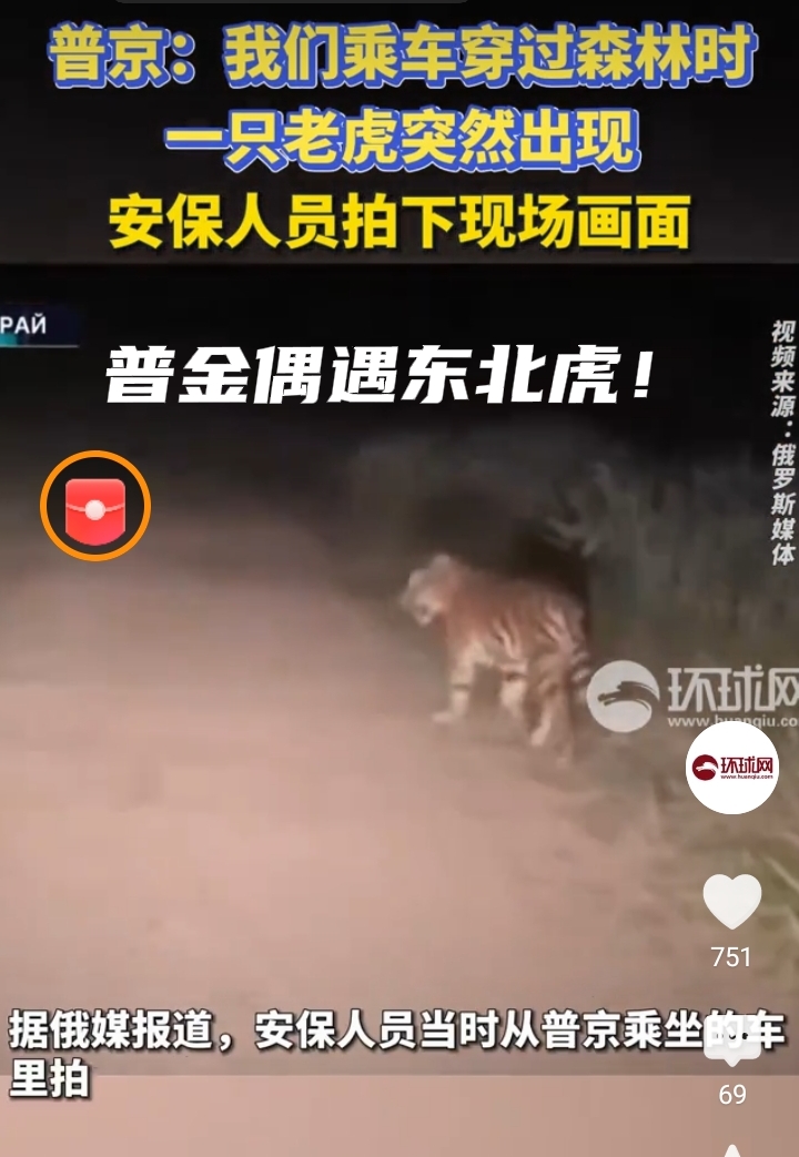 普京的车队行驶在边疆区的一条公路上，偶遇一只悠闲溜达的东北虎。
        东北虎在俄罗斯同样属于种群数量稀少的物种。碰到这一幕，普京当即告诫随行人员不要去干扰它，这一处置称得上睿智而果断。
         总统浩浩荡荡的车队，车辆轰鸣，声势浩大