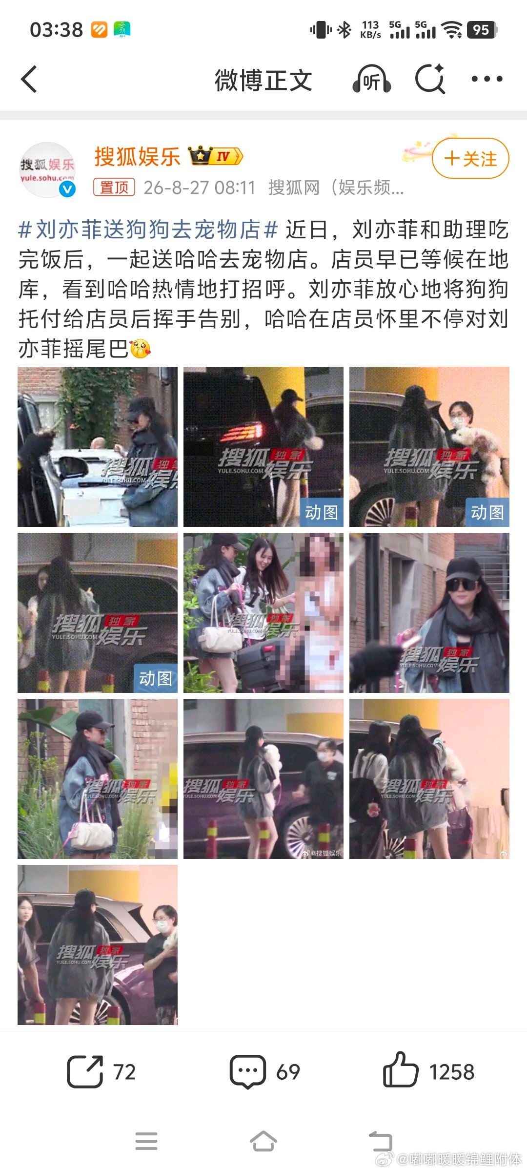 #刘亦菲送狗狗去宠物店# 美女[期待][期待][期待] ​