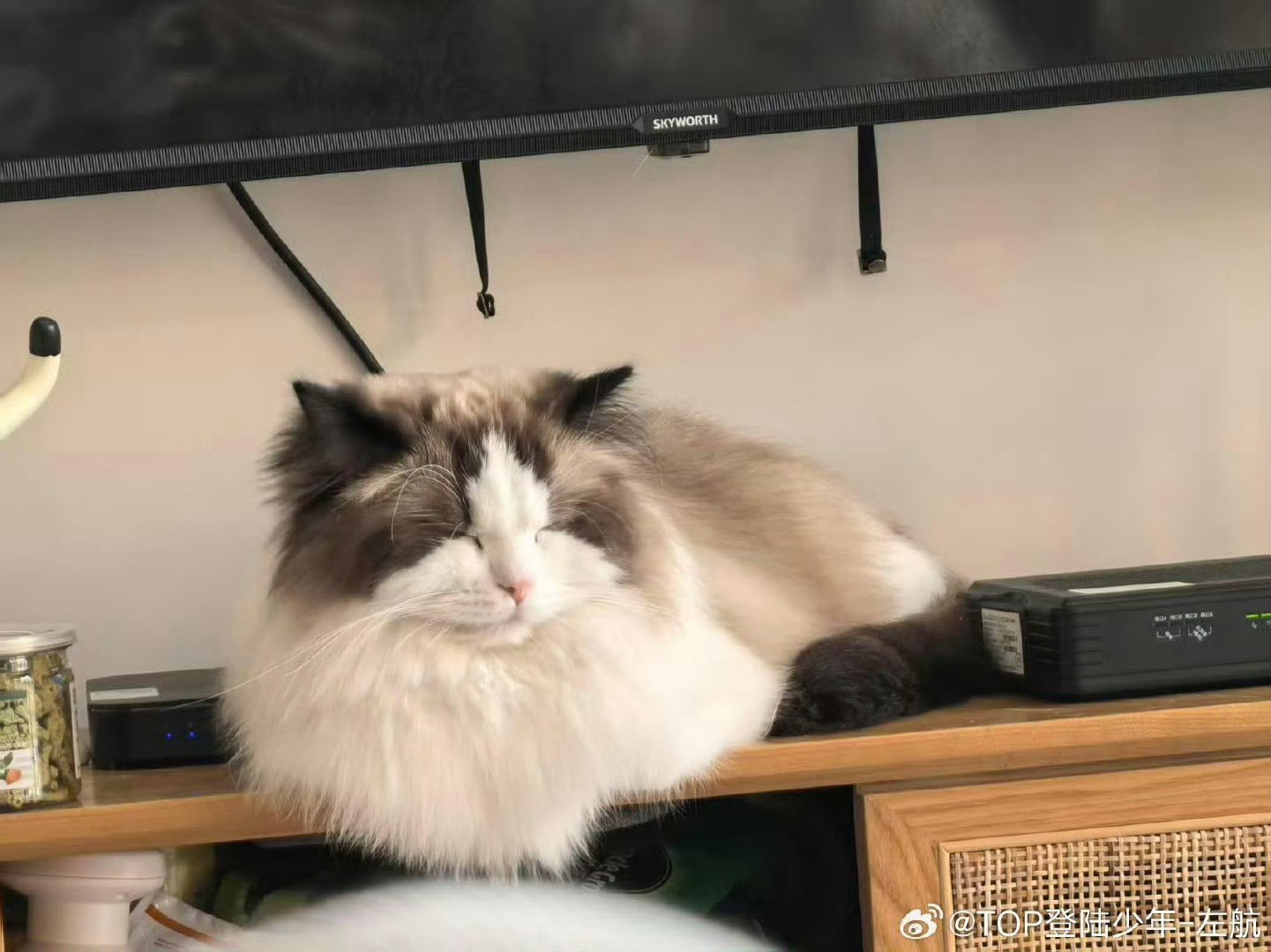 出卡车丑照 
#左航晒小猫厚米#
#左航换厚米头像# ​