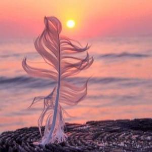 橙子分享的美味