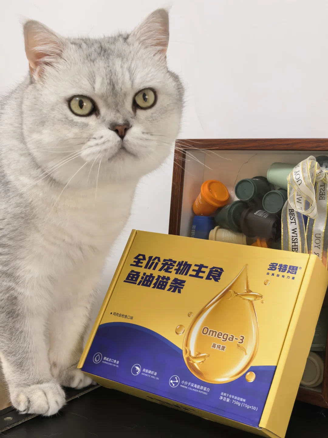 猫条届的“三文鱼刺身”🍣舔一口就上头