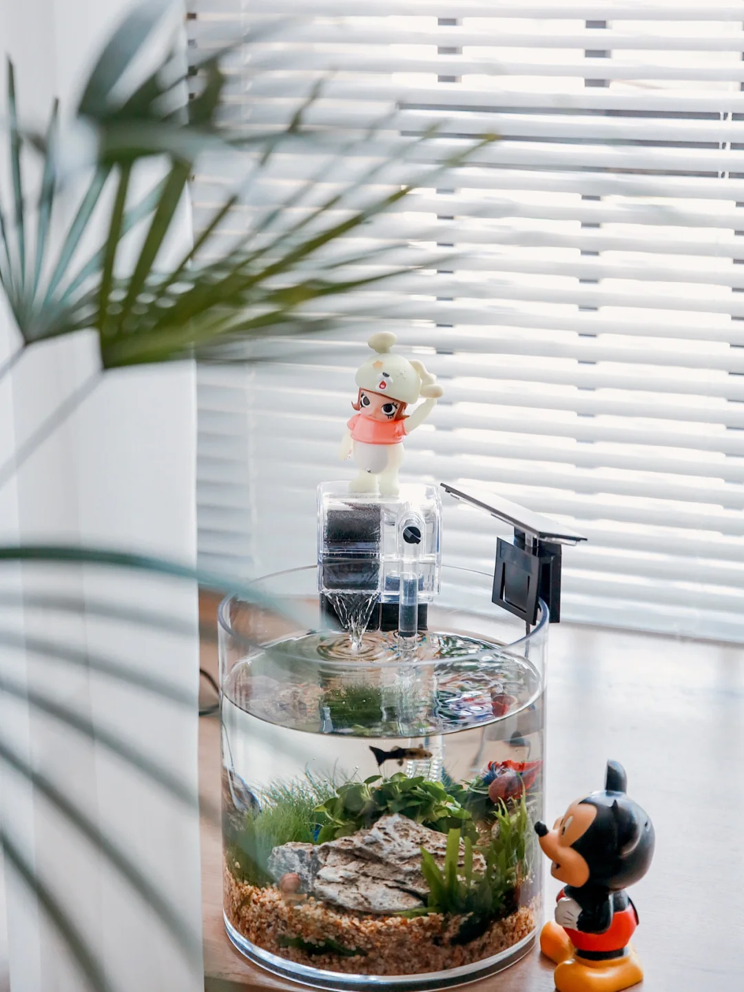 宅家日常｜如鱼得水般的快乐生活🐟