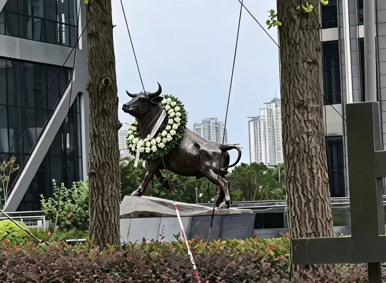 分享图片 ​​​