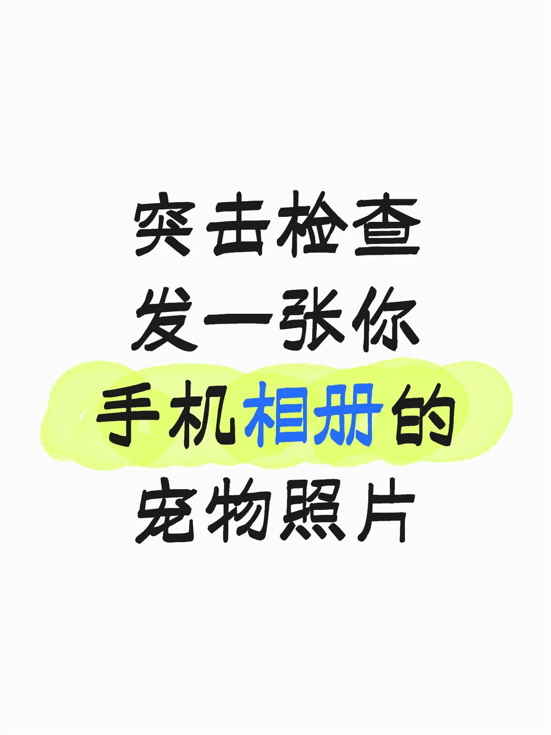 突击检查 发一张你手机相册的宠物照片