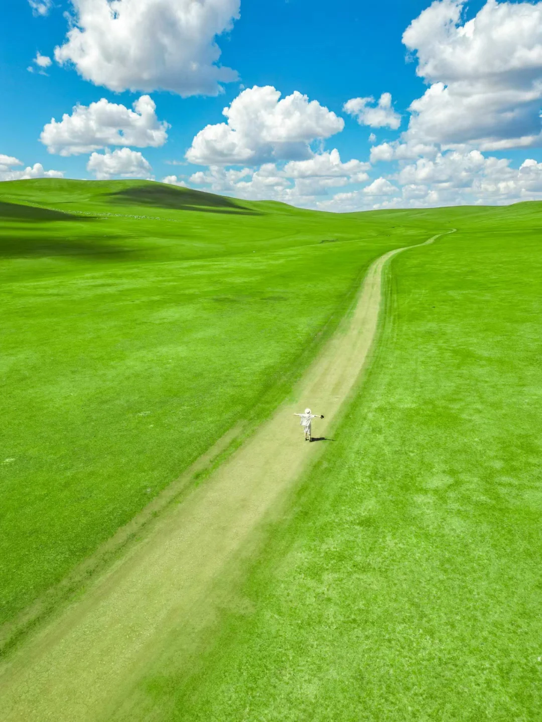 夏天的呼伦贝尔，才是人间理想~