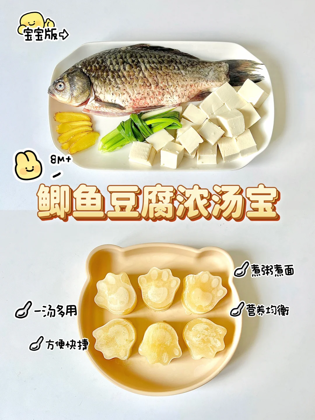 8M➕自制宝宝版鲫鱼豆腐浓汤宝|一汤多用
