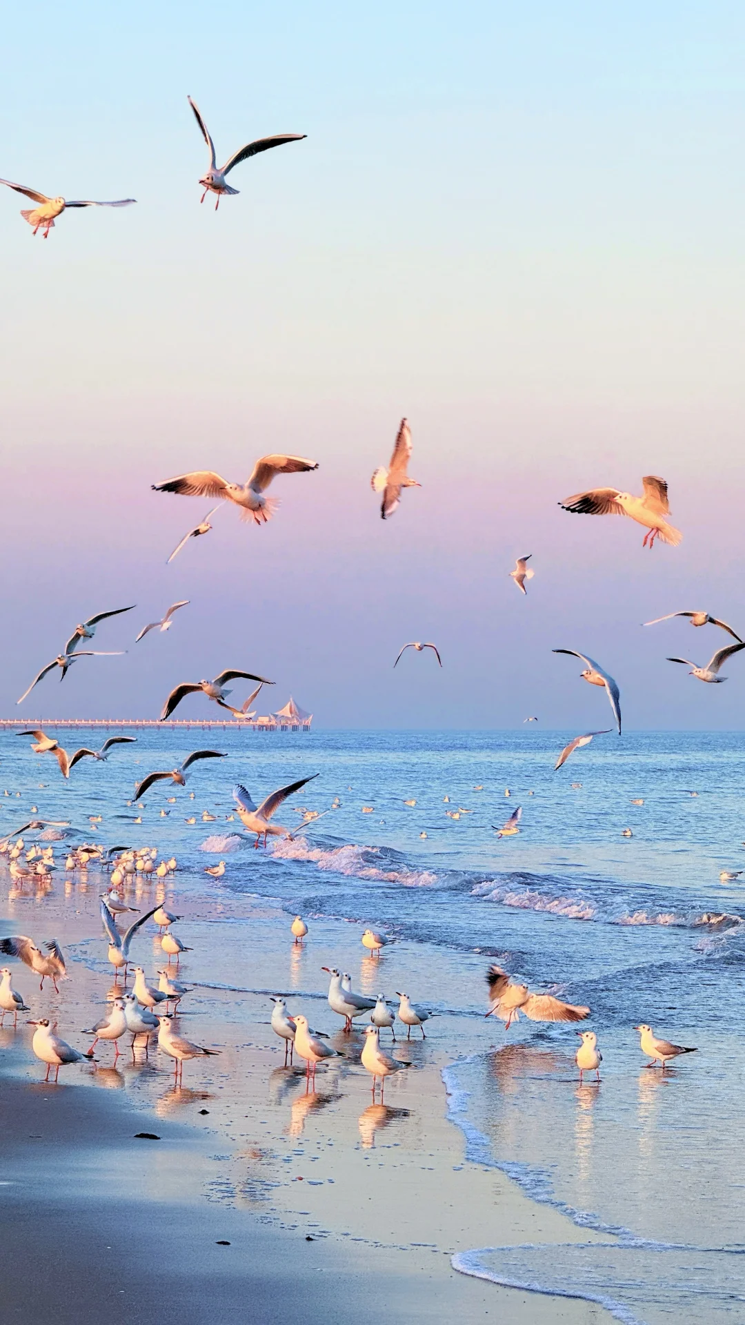 1.7live实拍❗️阿那亚🩵🩷蓝粉时刻杀疯了‼️