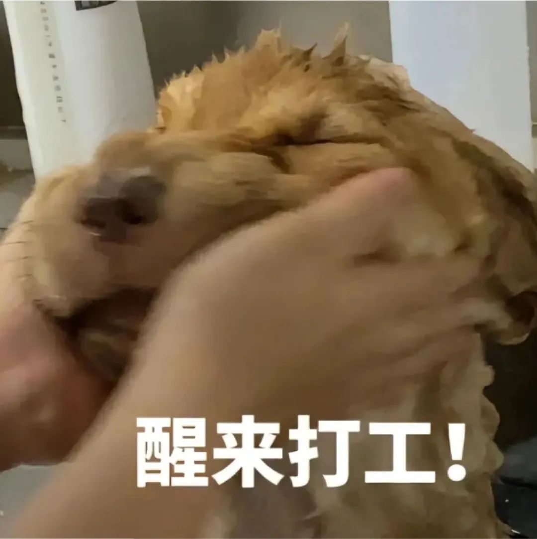 丰富你的表情包
