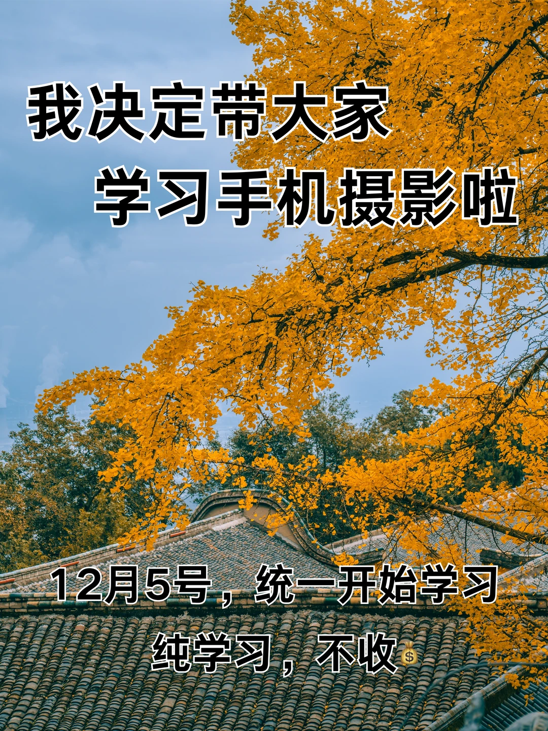 我决定带大家学习手机摄影啦！！