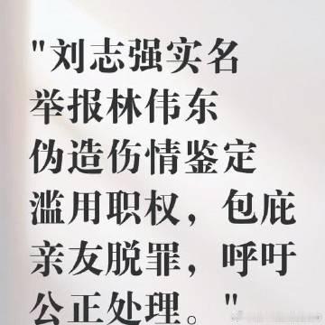 《刘志强实名举报广州天河区公安分局沙河街派出所原副所长林伟东徇私枉法 ...