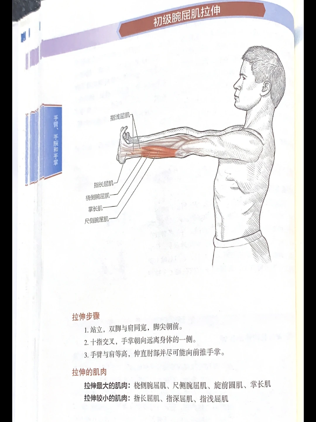 告别粗手臂｜手臂肌肉拉伸｜拉伸运动训练