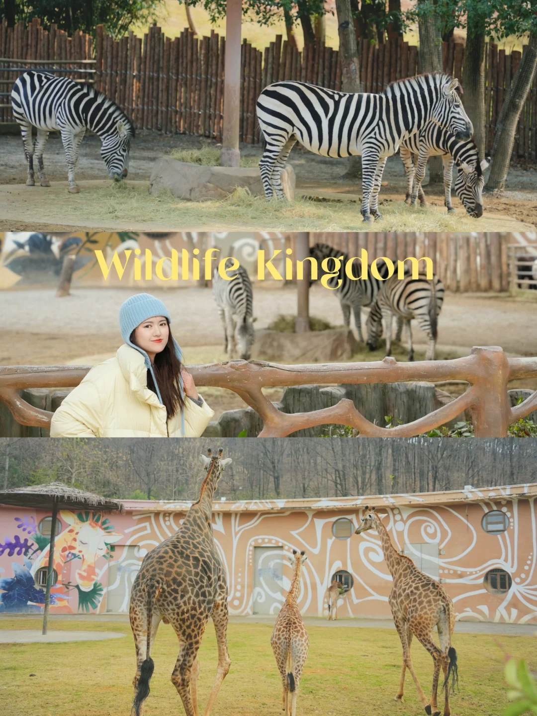 别犹豫了！武汉野生动物王国真的值得N刷！🦒