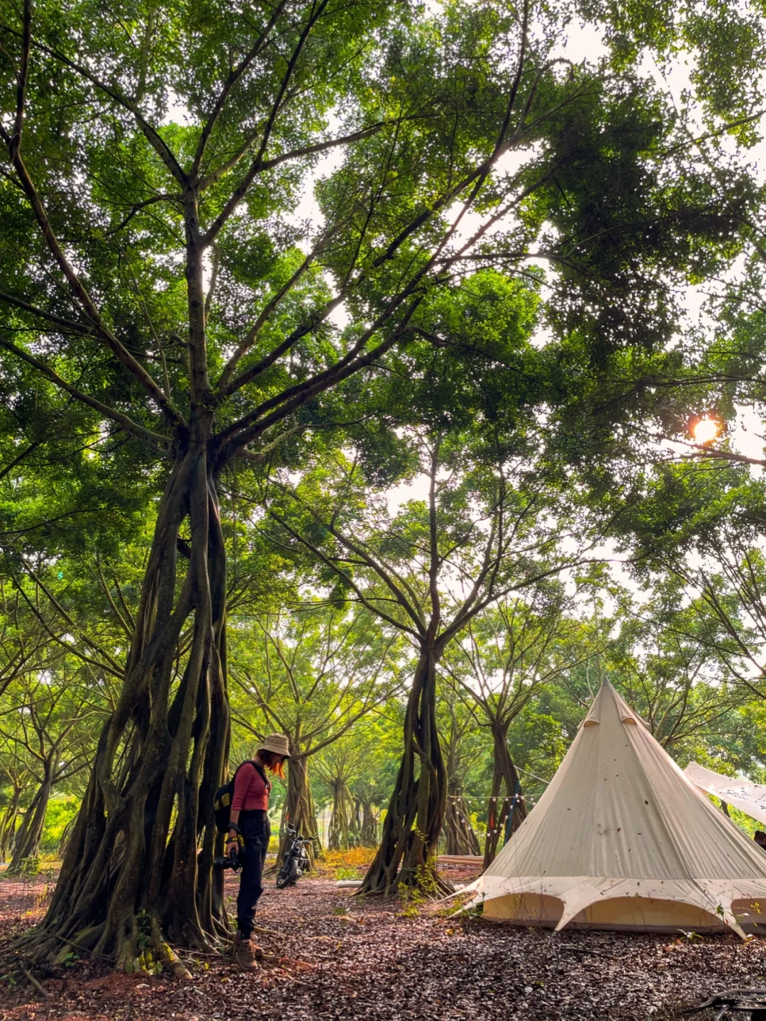 南宁周边绿野仙踪｜森系露营｜盘古营地