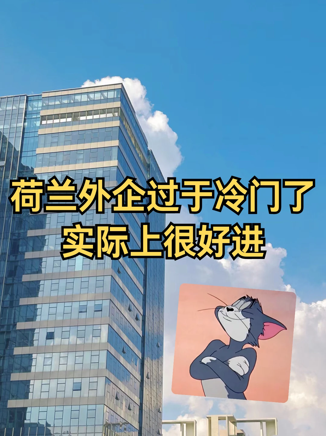 荷兰外企过于冷门了，实际上很好进