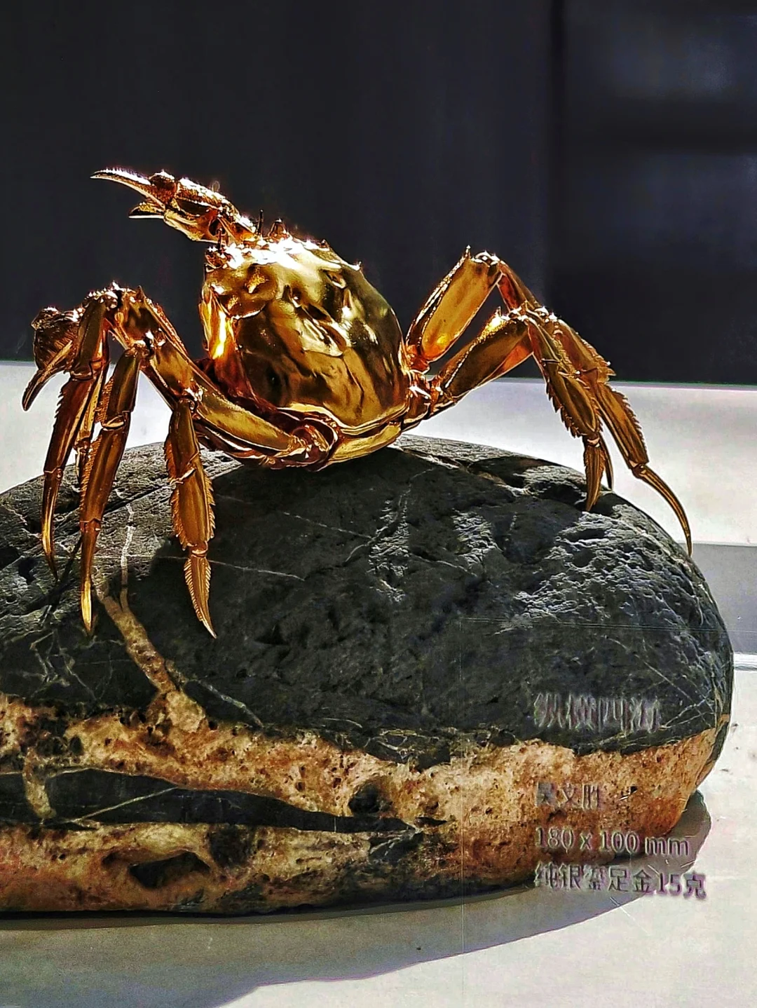 展览末班车 | 苏博西馆隔壁偶然遇见惊喜展