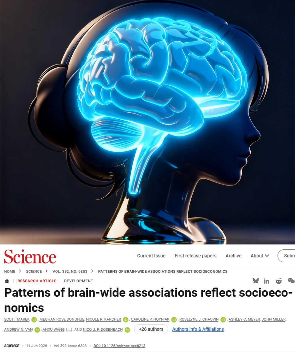 Science重磅-社会经济塑造儿童大脑不是智力