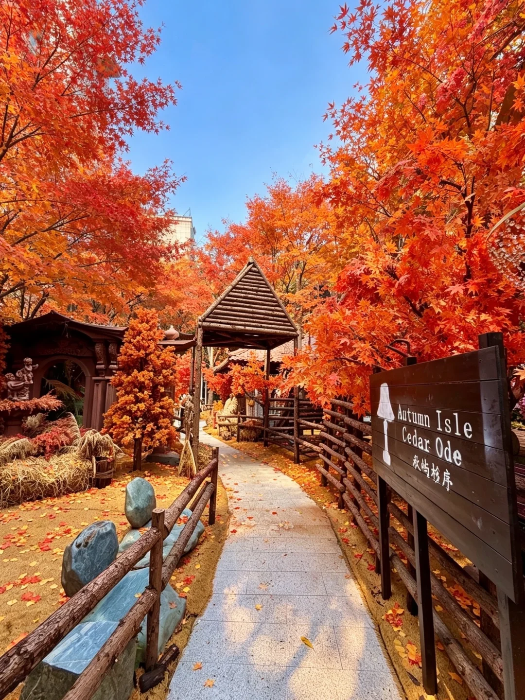 东莞！！！新的打卡地！秋日氛围🍂🍁