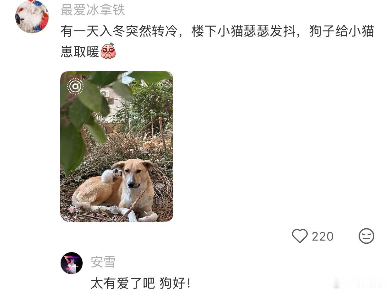 宿命感很强是什么感觉 ​​​