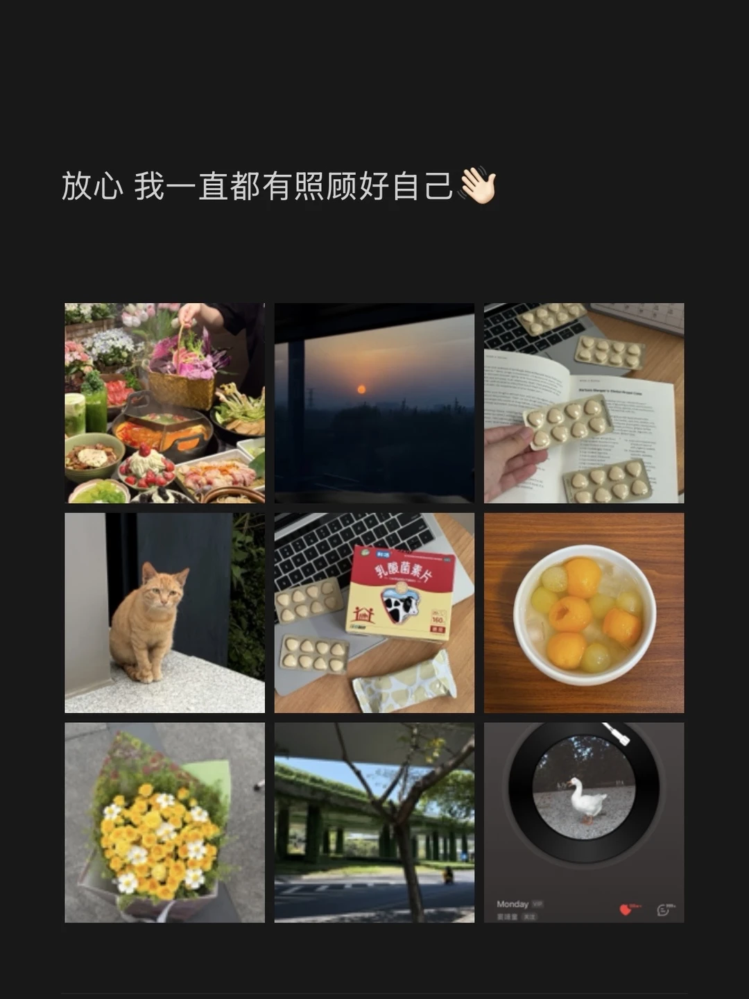 Plog｜把情绪和肠道都照顾好～🫶